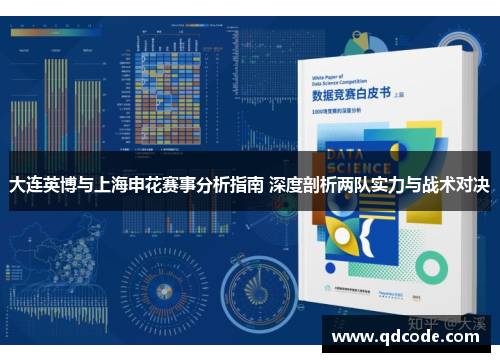 大连英博与上海申花赛事分析指南 深度剖析两队实力与战术对决