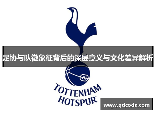 足协与队徽象征背后的深层意义与文化差异解析
